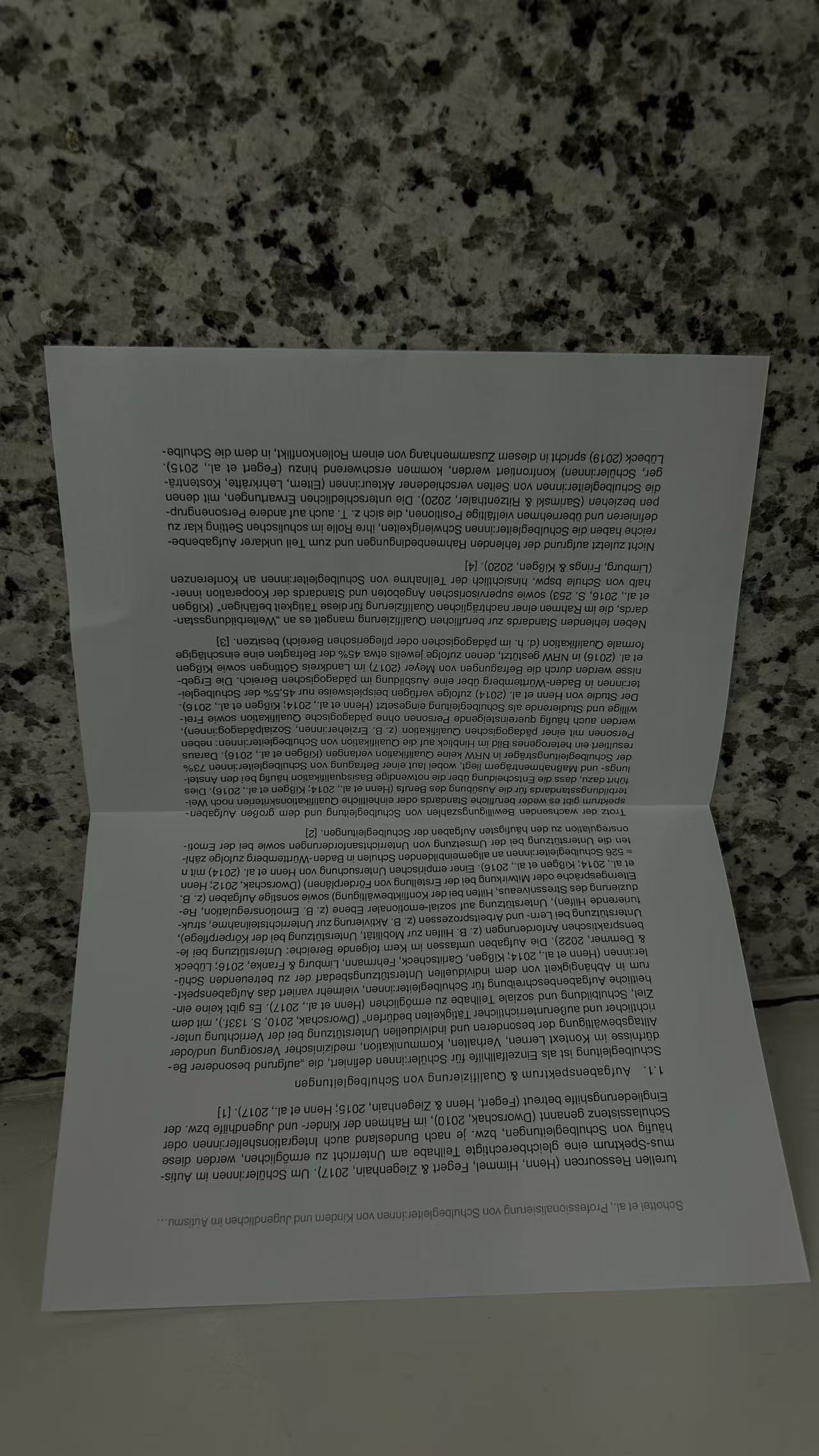 German Academic Paper